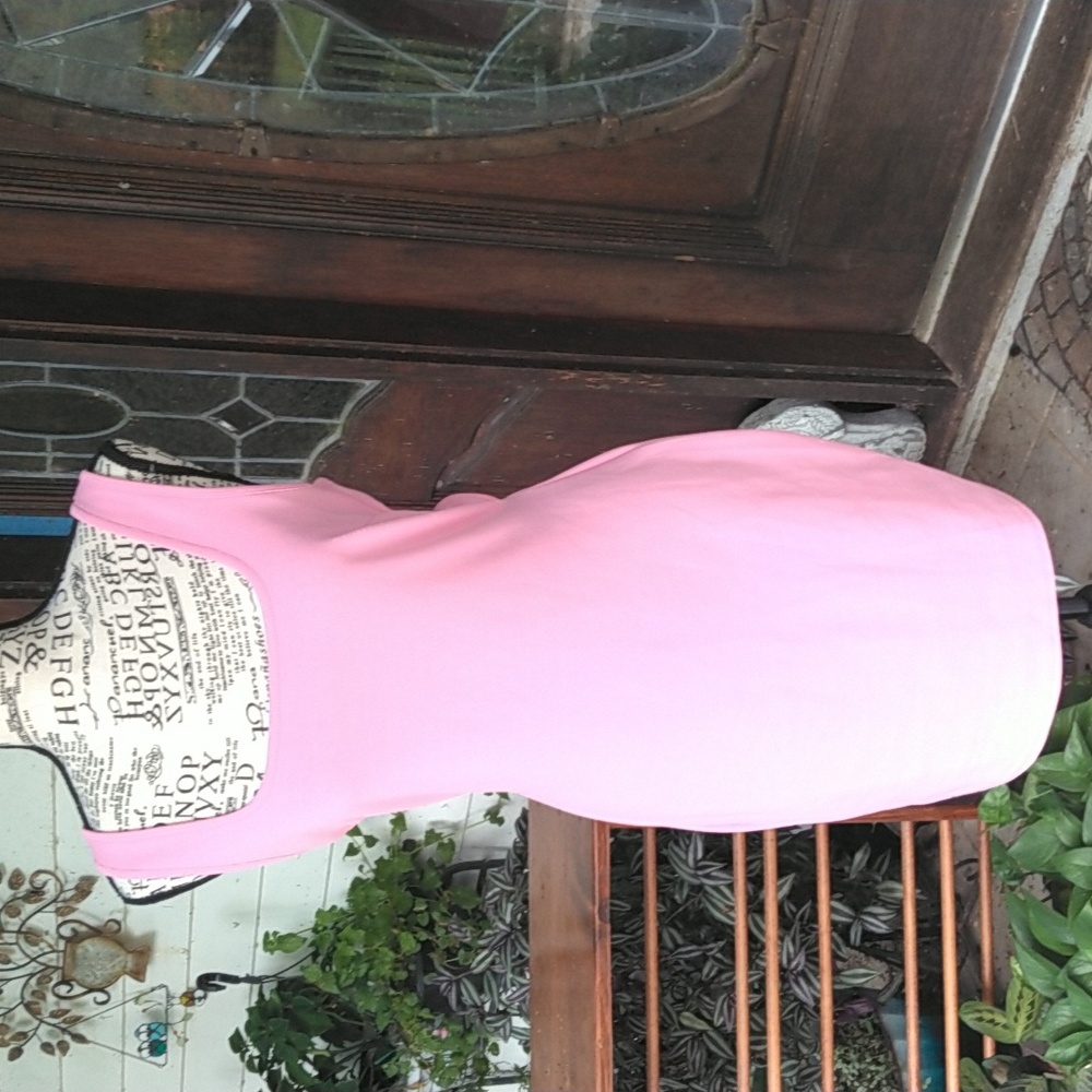 Women's NWT Barbie pink bodycon dress size large by Stella Dallas.